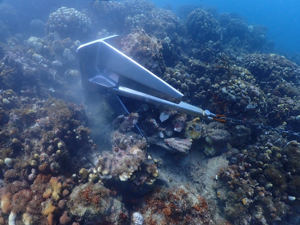 A boat anchor and chain lying across a shallow coral reef, with broken coral around it